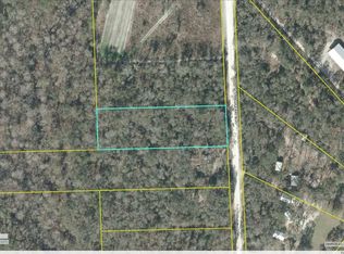 SE J M Ridgeway Blvd LOT 16, Branford, FL 32008