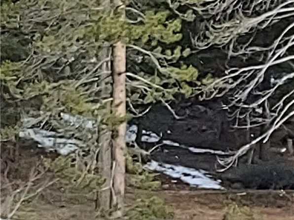 LOT Sixteen Unit 2-86, Alturas, CA 96101