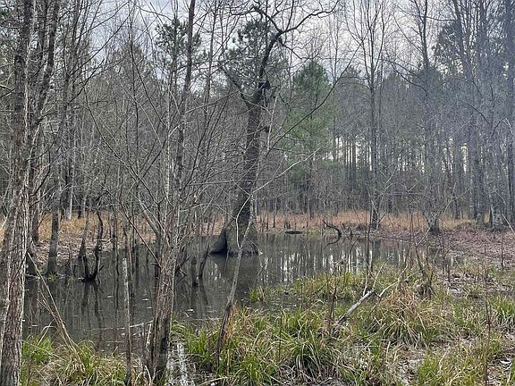 3rd image of TBD Rocky Ford Rd.