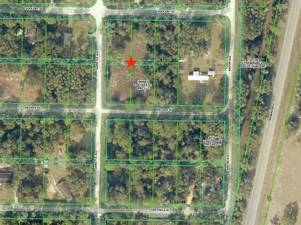 0 Goolsby St Lot 4, Webster, FL 33597