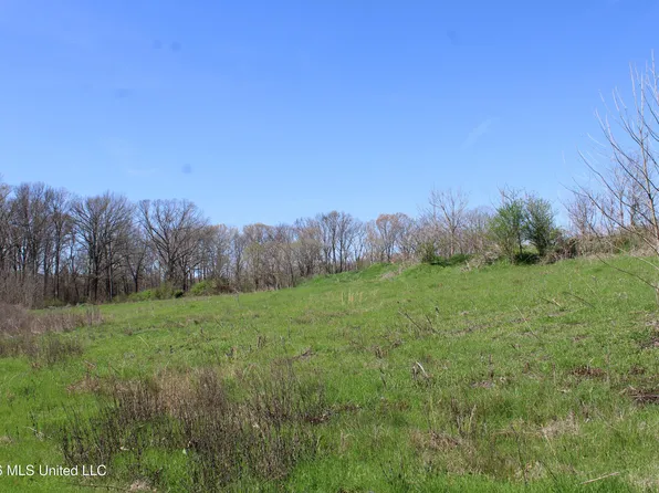 11 Barton Desoto Rd, Olive Branch, MS 38654