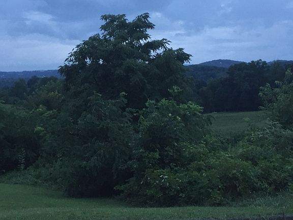 5th image of 347 Lories Ln