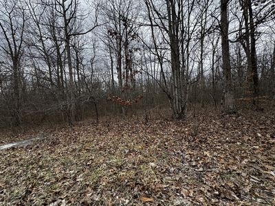0 Hunters Ridge Trl Lot 43, Altamont, TN, 37301