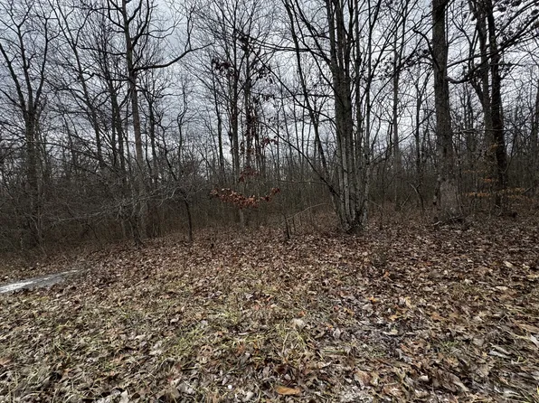 0 Hunters Ridge Trl Lot 43, Altamont, TN 37301