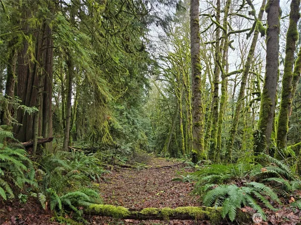 184 xx 123rd (Central Lot) Avenue NE, Arlington, WA 98223