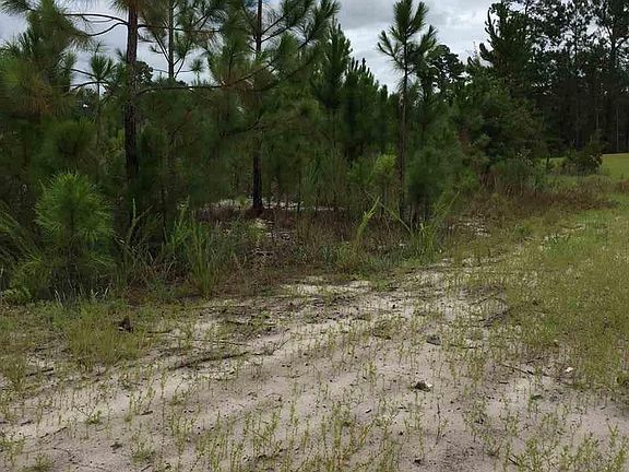 4th image of 959 Henry James Dr. Lot 174 Covington Lake East