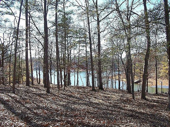 3rd image of 435 Lakewood Dr