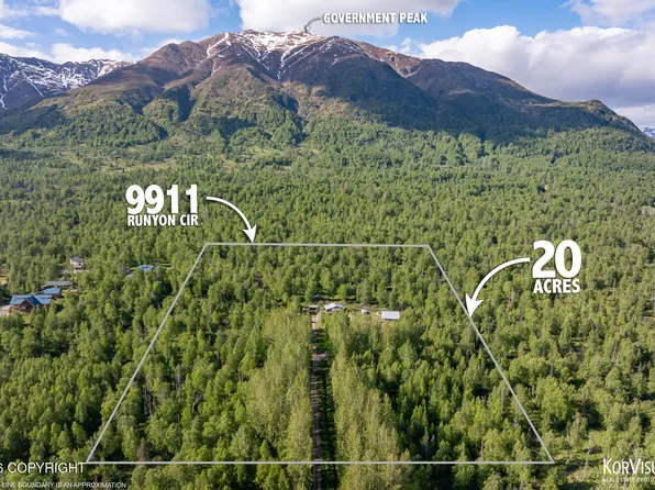 9911 N Runyon Cir, Palmer, AK 99645