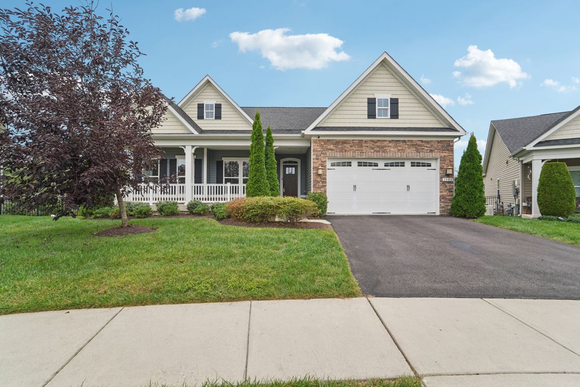 Orchard Grass Ct-S2509-001.jpg