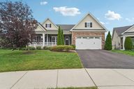 Orchard Grass Ct-S2509-001.jpg