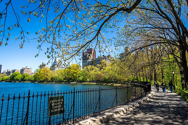 Rented by City Wide Apartments | media 10