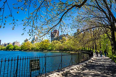 Rented by City Wide Apartments