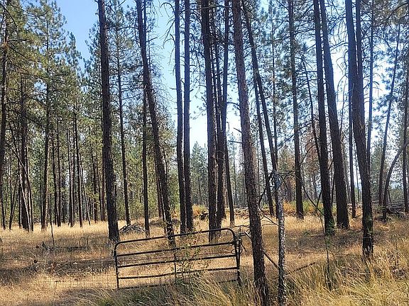 2nd image of 4579 Reservation Rd