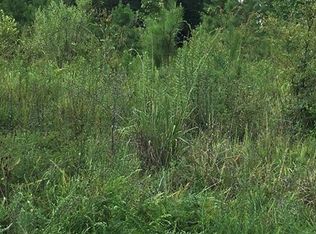 1485 Old Charleston Rd, Saluda, SC 29138