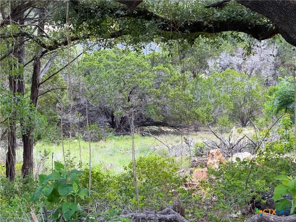 273 Scenic Dr, Canyon Lake, TX 78133