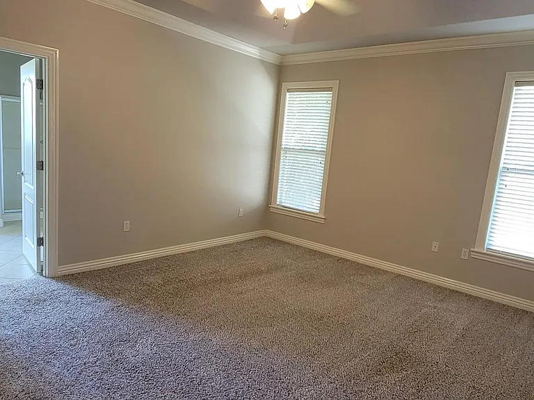 Owner's Suite w/ Tray Ceiling