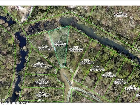 0 Riverview Dr, Webster, FL 33597