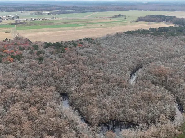 0 Fleming Mill Rd, Pocomoke City, MD 21851