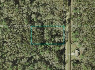 10525 Vaughan Ave, Hastings, FL 32145