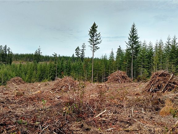 3rd image of 4215 E Mason Lake Dr W