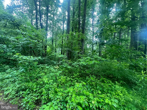 Highland Way, Chester Gap, VA 22623