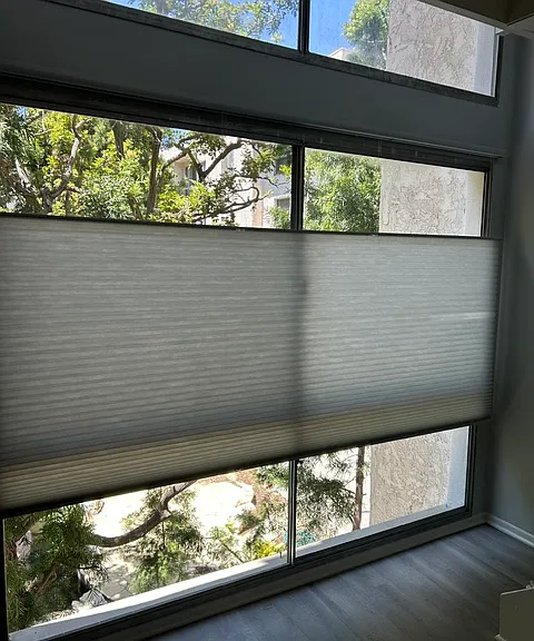 New light filtering blinds that pull up and down into preferred postions.