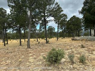 106 Avalon Ct, Ruidoso, NM 88345