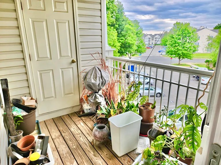 7505J Calderon Ct #J — Photo 13
