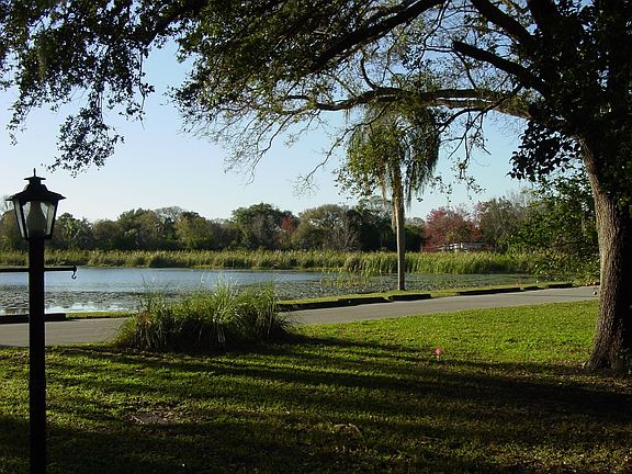 View from house