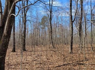 38 Bluff View Dr, Dunlap, TN 37327