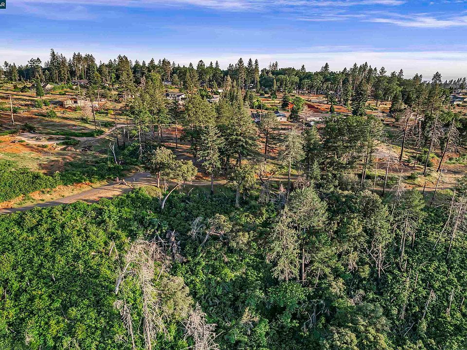 25th image of 6479 Gregory Ln