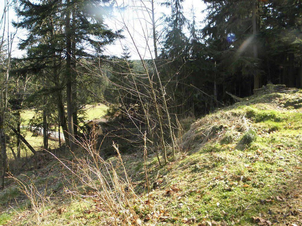 1556 Greenbriar Ln, Carbonado, WA 98323 Zillow