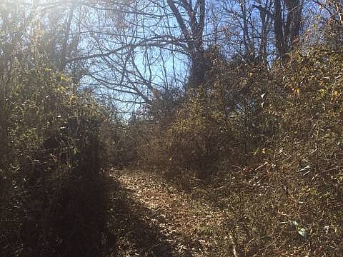 3rd image of 8236 Welch Ln