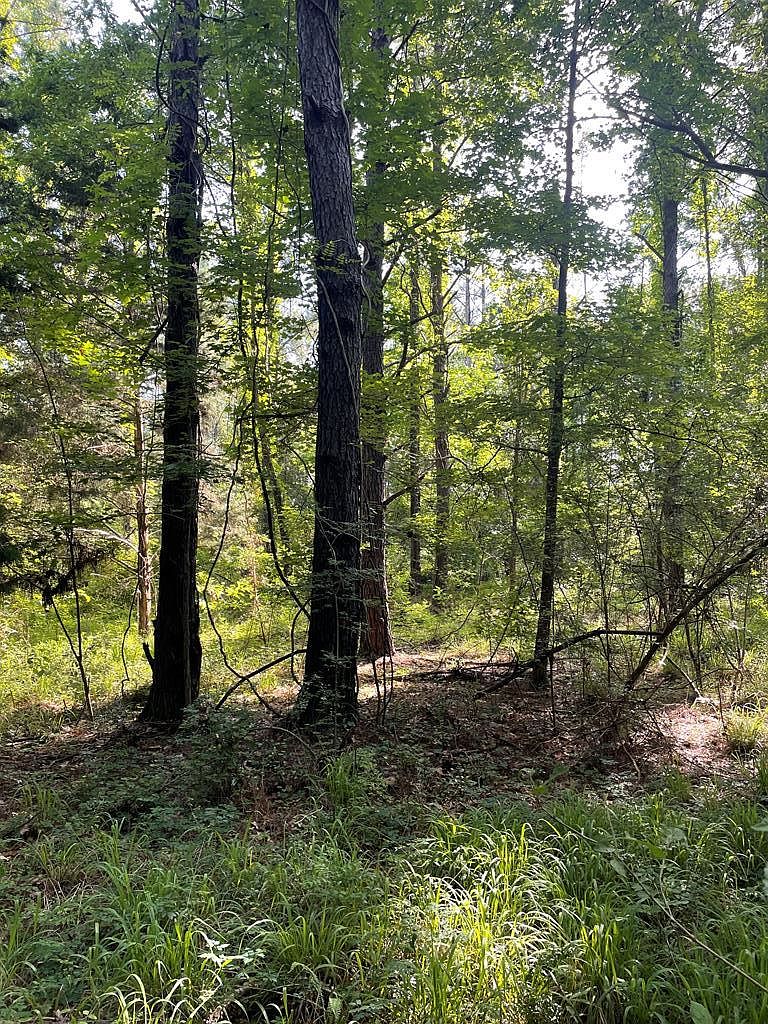 (Undisclosed Address), Uriah, AL 36480 MLS 17294 Zillow