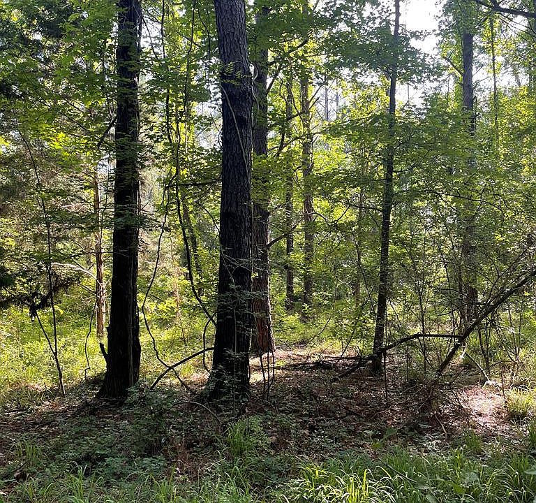 (Undisclosed Address), Uriah, AL 36480 MLS 17294 Zillow