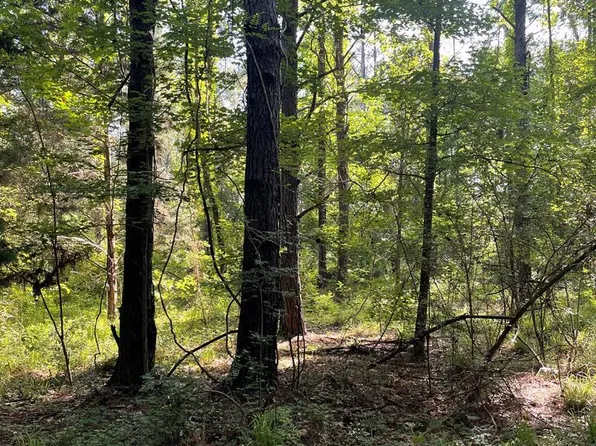(undisclosed Address), Uriah, AL 36480