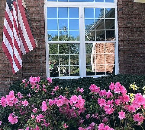Pink Azaleas Dinimg Room
