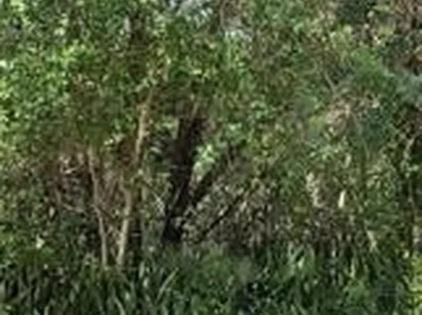 1919 Colmar Ave, Sebring, FL 33870