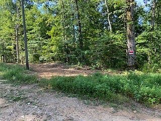 2nd image of 0 Haist Rd