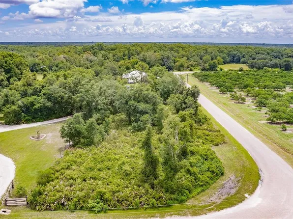 SW Gator Trl Lot 10, Arcadia, FL 34266