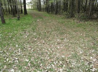 5734 E Tyler Rd, Walkerville, MI 49459