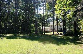 View from Back of yard