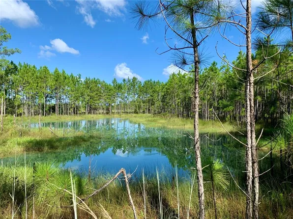 LOT 8 Jericho Trl #800, Eustis, FL 32736