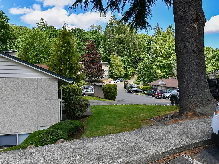 Greentree — Photo 41