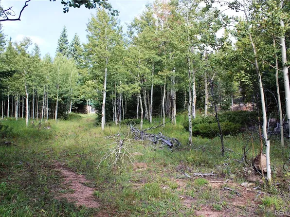 1575 Stewart Gulch Road LOT 9423, Black Hawk, CO 80422