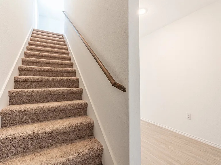 6941 Dorato Rdg — Photo 14