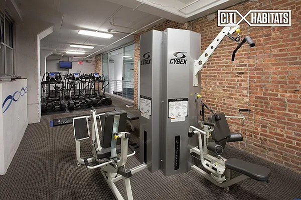 Rented by Citi Habitats | media 7