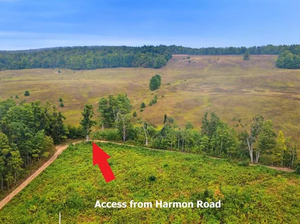 Harmon Rd, Petoskey, MI 49770