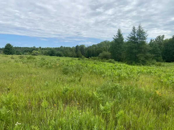 4639 Schnepp Rd, Millersburg, MI 49759
