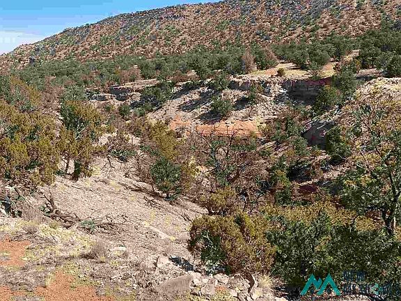 5th image of 4 Eagle Loop #5